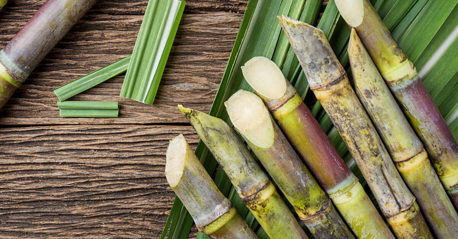raw sugarcane prices