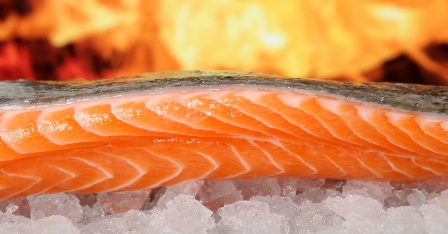 salmon prices