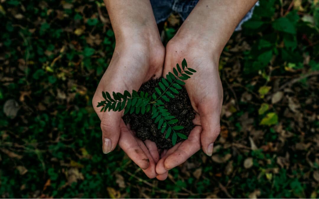 How Procurement Can Succeed in Sustainable Sourcing