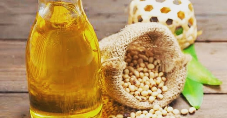 soybean oil prices