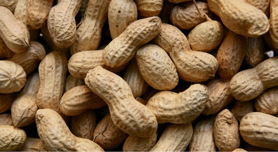 Groundnut Oil Prices