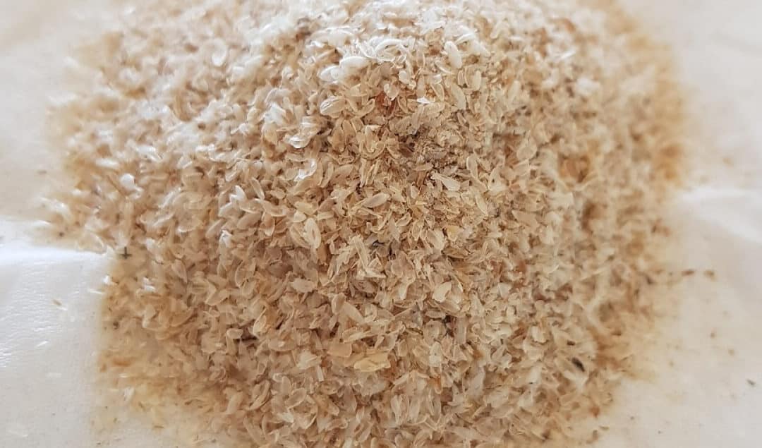 Psyllium Prices – Historical Graph [Realtime Updates]