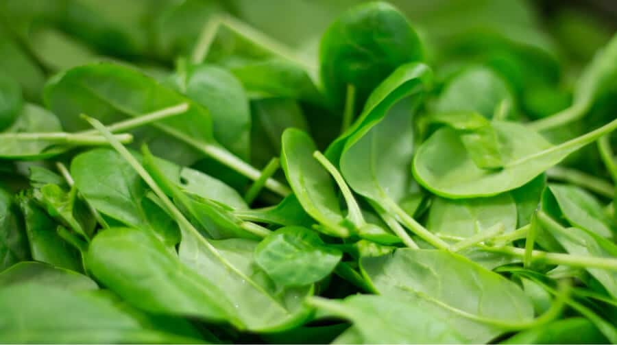 Spinach Prices