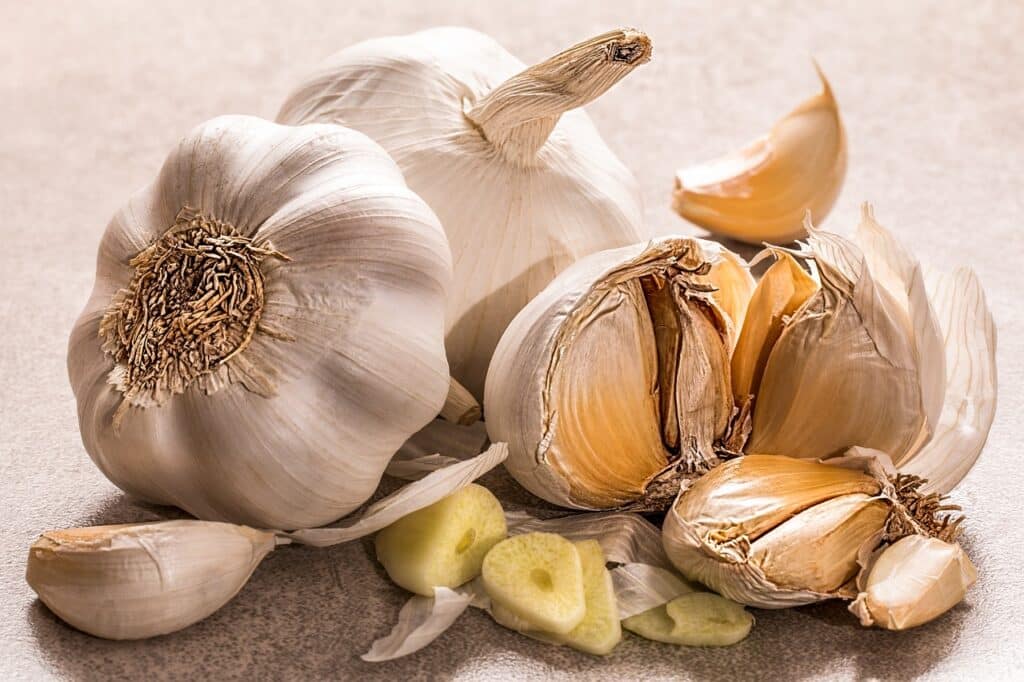 Garlic Prices