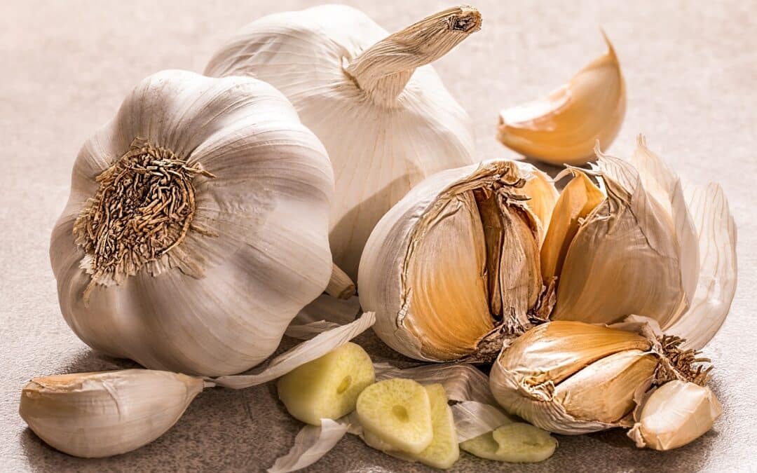 Garlic Prices – Historical Graph [Realtime Updates]