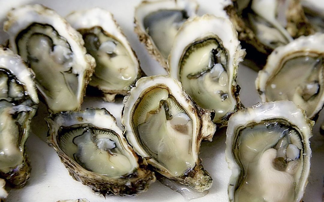 Oyster Prices – Historical Graph [Realtime Updates]