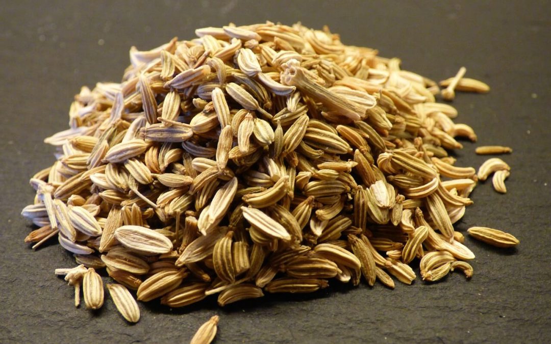 Fennel Seed Prices – Historical Graph [Real-time Updates]