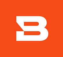 bitsight
