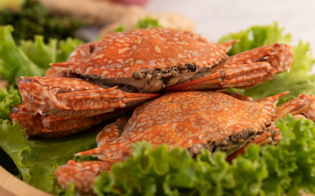 Crab Prices – Historical Graph
