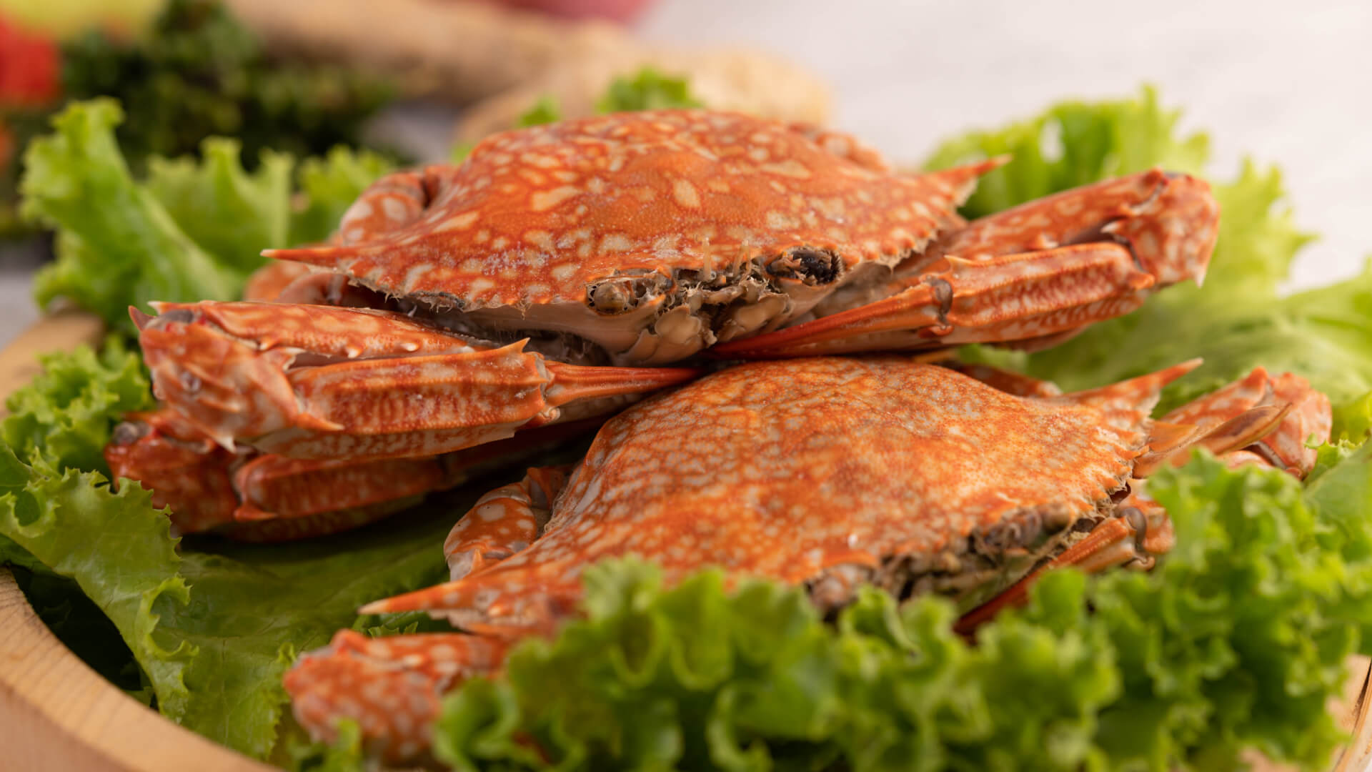 crab-prices-historical-graph