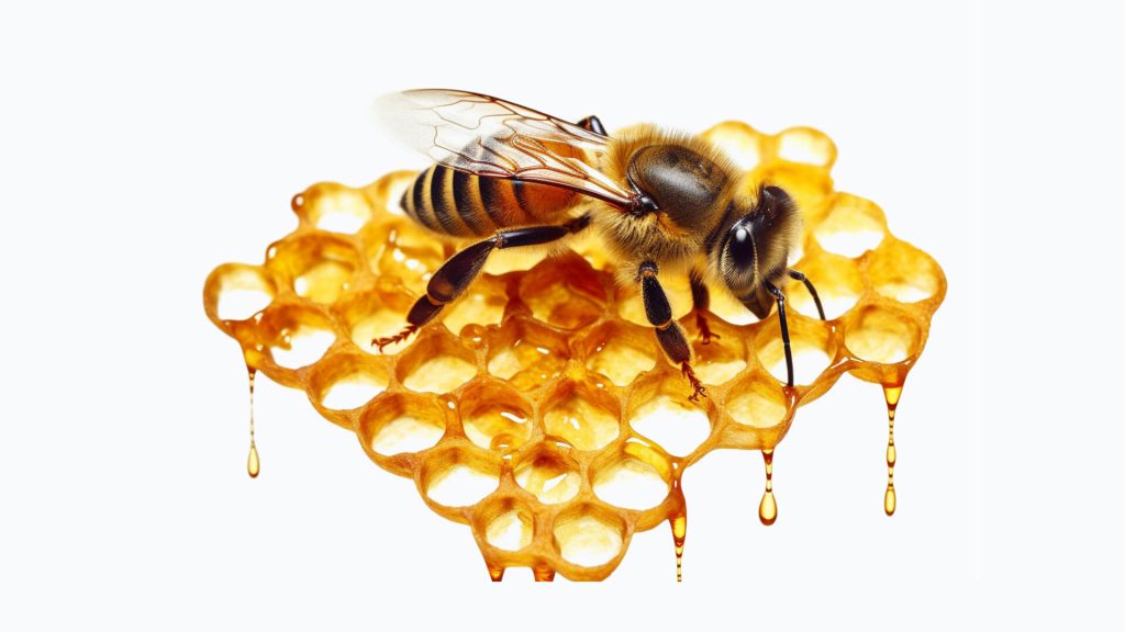 nectar