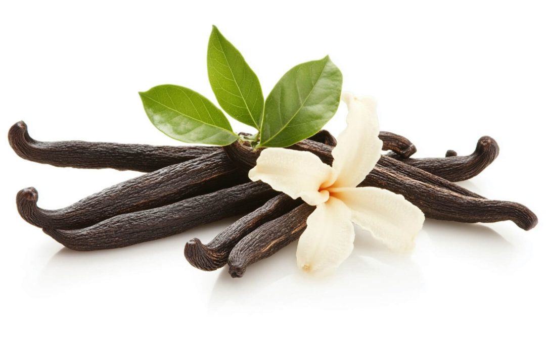 Vanilla Prices – Historical Graph